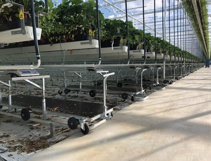 products Hortiworld Harvest trolleys