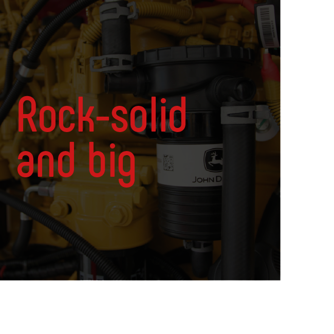  Hortiworld rock solid and big