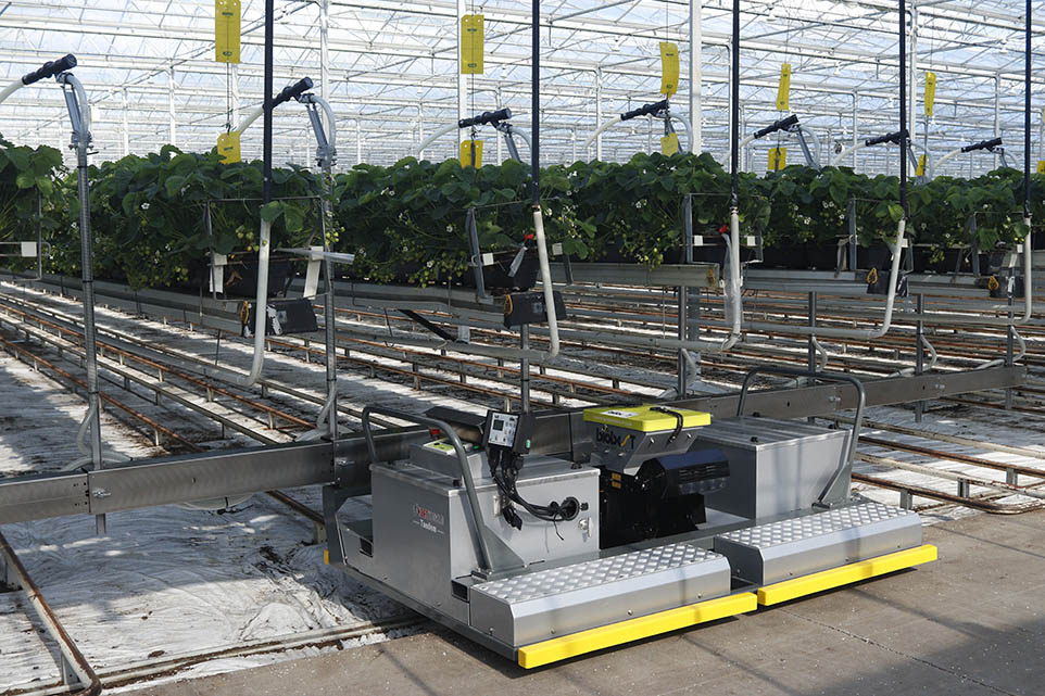 Entomatic beneficial insect dispenser